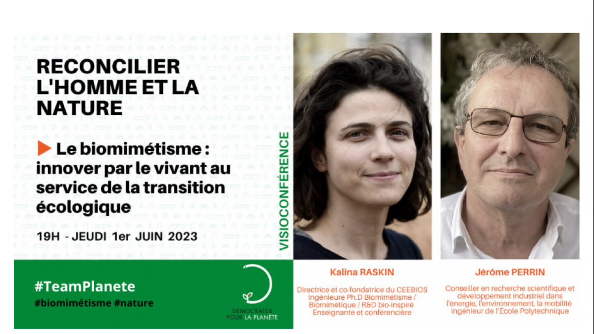 Biomimétisme